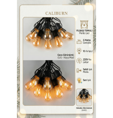 5 Metre Sabit Yanan Modlu 10 Ampul Parti Organizasyon Iç & Dış Mekan 2700K LED Aydınlatma Uzatma Fişli